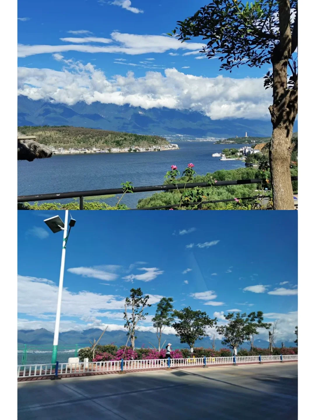 诚一_诚信故事_诚字五行属什么