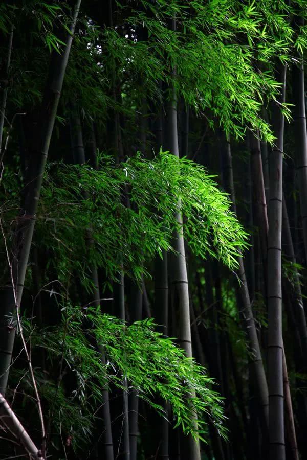 简单放松的游戏_好玩的放松游戏_放松简单的手机游戏