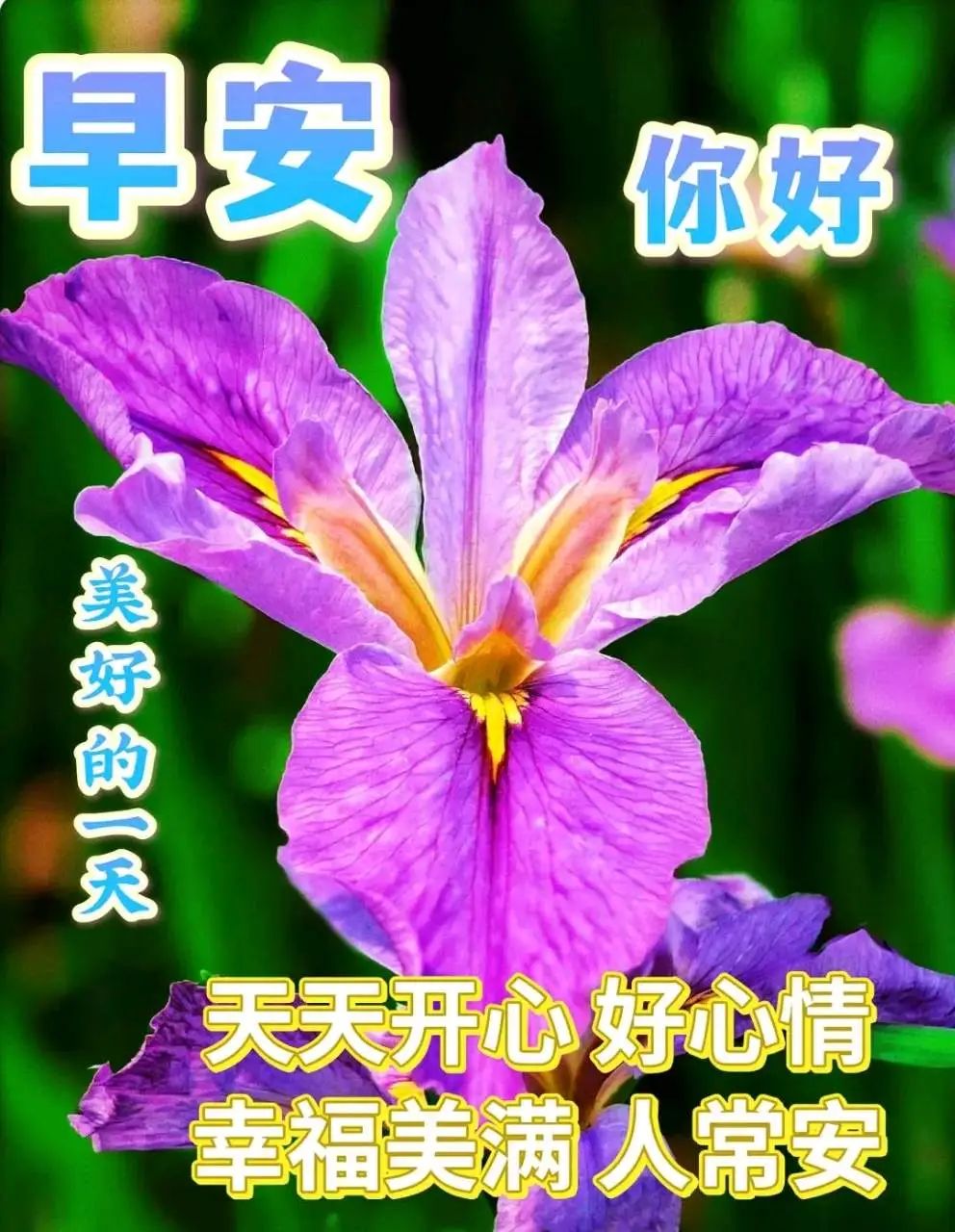 世界献上美好的祝福_最美好世界献上祝福_美好世界献上祝福