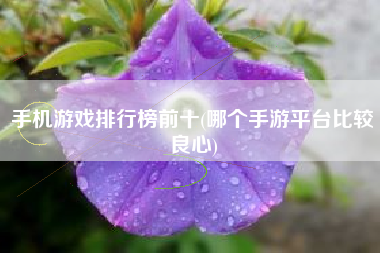 安卓对比测试手机游戏有哪些_安卓对比测试手机游戏_安卓手机游戏对比测试