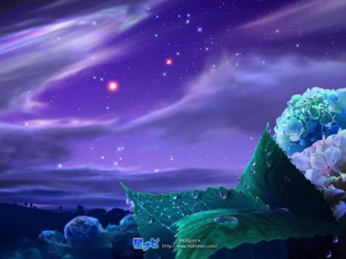 夜羊社人物_夜羊社作品_夜羊社角色