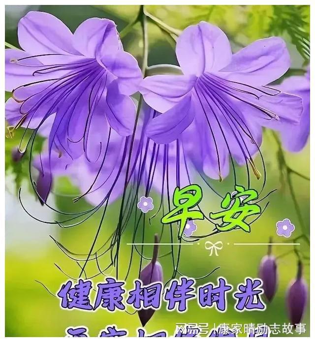 月禾_禾月名字寓意_禾月餐厅