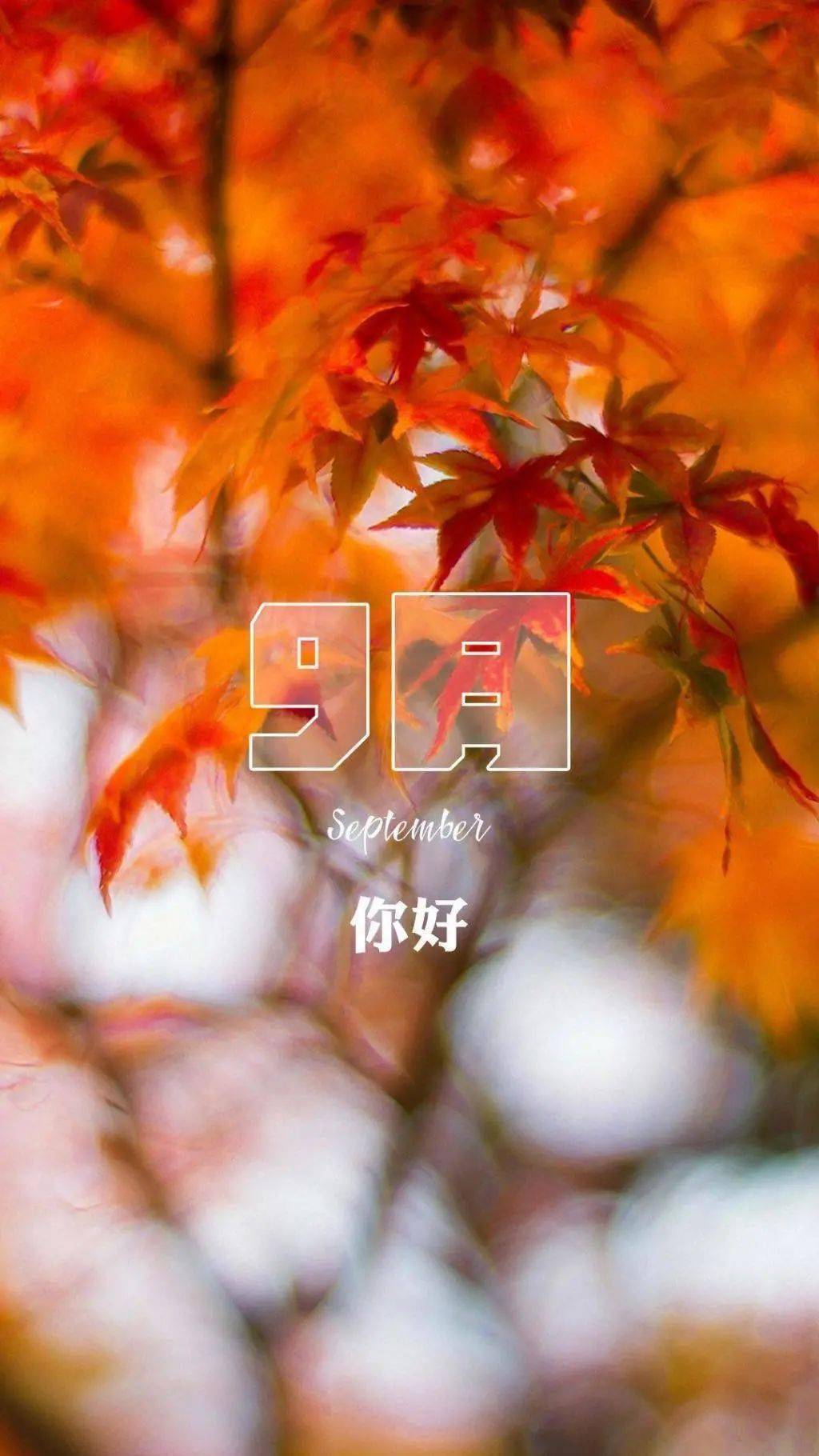 松永燕_松永某_松永