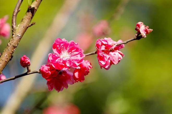 花凛_花凛_花凛