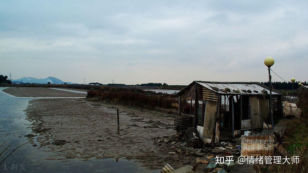 乌萨斯兔子_乌萨斯_乌萨斯是什么动画片
