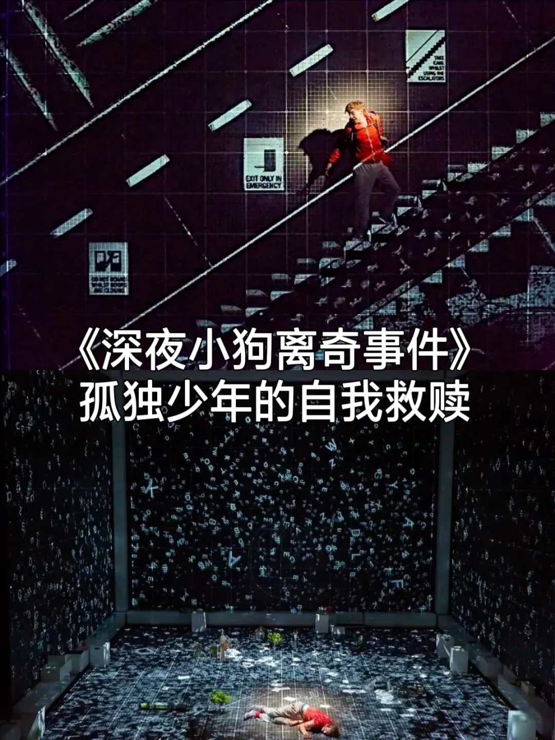 寒鸦少年_歌词寒鸦少年_少年寒鸦少年