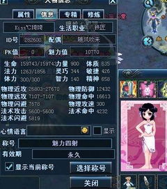 游戏找搭档,游戏中的搭档寻找与互动技巧
