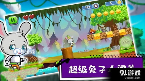兔子过关游戏,兔子们的冒险乐园