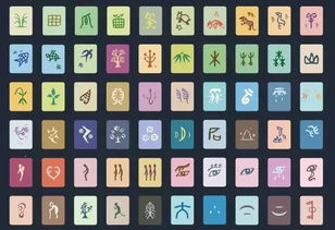 字卡游戏中班,趣味识字新体验