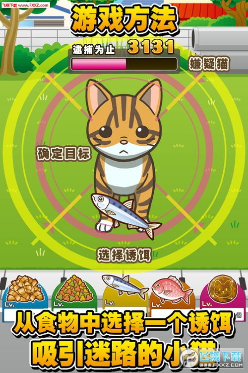 小猫寻找游戏,小猫寻找游戏的趣味世界