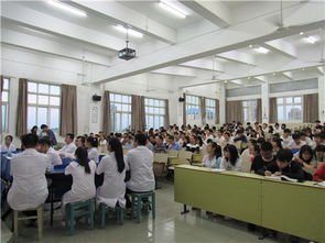 医学知识游戏,探索医学知识游戏的无限魅力