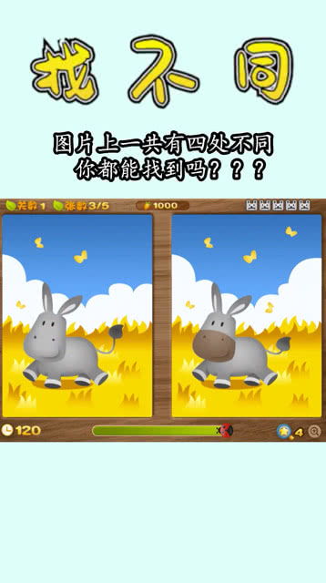 眼力训练游戏,探索眼力训练游戏的多样世界