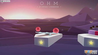 ohm游戏,OHM游戏深度解析
