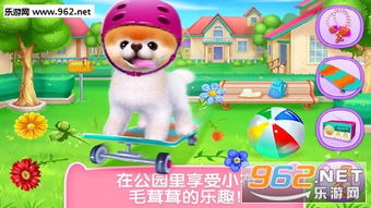 小狗小布游戏,快乐成长之旅