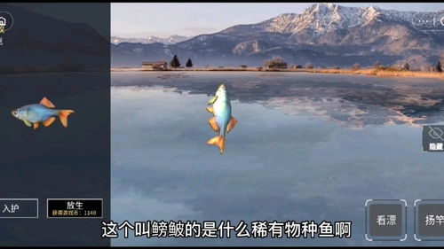 桌面钓鱼游戏,体验轻松愉快的钓鱼游戏时光