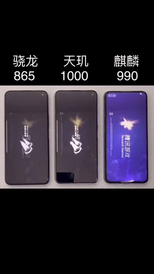 证件照免费处理助手证件照免费处理助手 