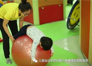 触觉球游戏,探索感官互动的全新体验之旅