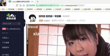 主播和猫的故事游戏最新版 