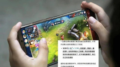 你家猫饿了游戏下载中文版最新版 