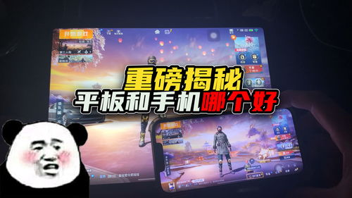 疯读小说兑换手机 