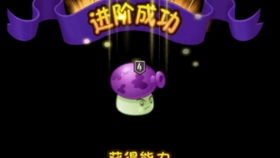 命运的秩序破解版 