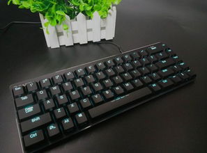 暴爽疯狂赛车无限金币破解版10000钻石 
