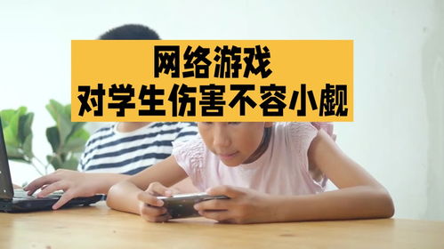 转生打怪开宝箱 