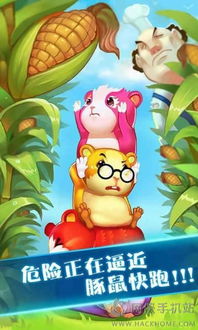 荷兰猪游戏,探索虚拟世界的欢乐冒险之旅