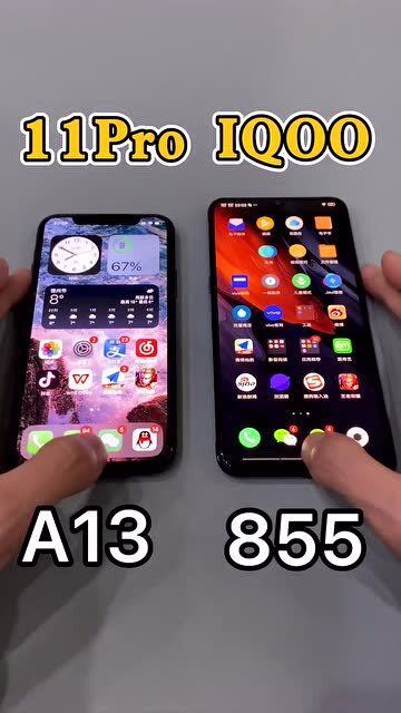 生存还是死亡 