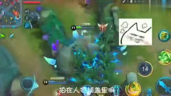 夕阳之夏游戏最新正版下载 