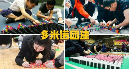南方有乔木游戏网易官方版手机下载 
