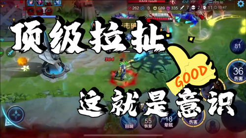 超级拉力进化 