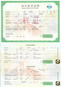学生证件照 