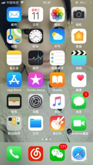 贪吃的苹果蛇 