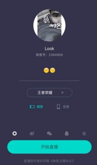 不速之客游戏安卓版 