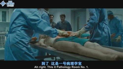 后室游戏手机版 