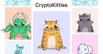 我是一只猫游戏 