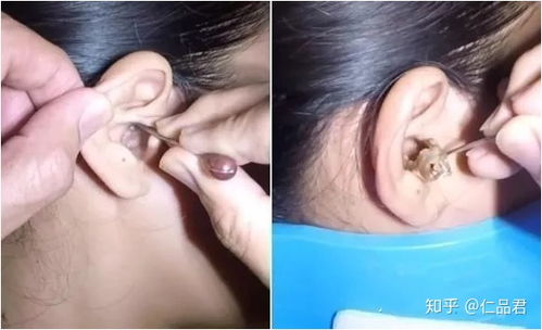 史上最解压游戏 