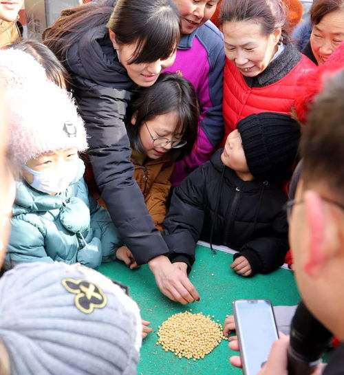 豆子战争(BeansWar) 