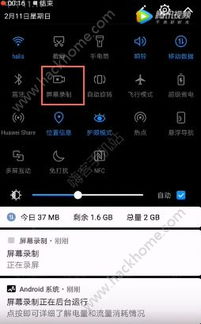 火影火的意志 