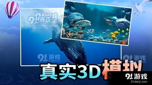 我的完美海滩 