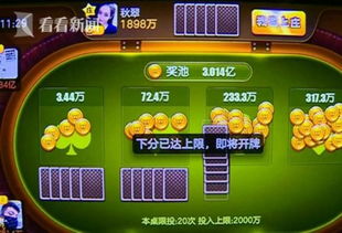 申城棋牌官网版 