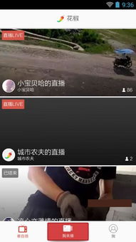 视频号助手手机版APP下载安装 