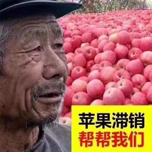 泡泡大作战游戏手机游戏 