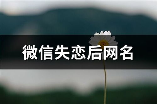 樱花校园之恋游戏 