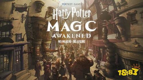 哈利波特魔法觉醒官服安装包apk