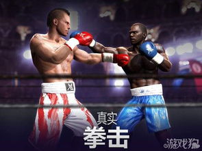 方块车撞击赛(BlockyDemolitionDerby) 