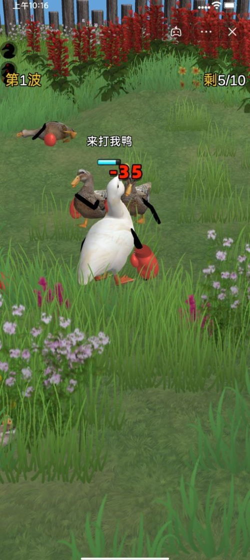 奇怪的鸭子游戏 