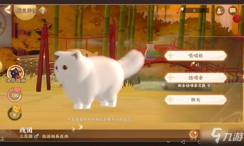 我爱躲猫猫游戏无广告 