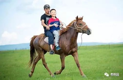 小孩骑马游戏,马背上的欢乐时光